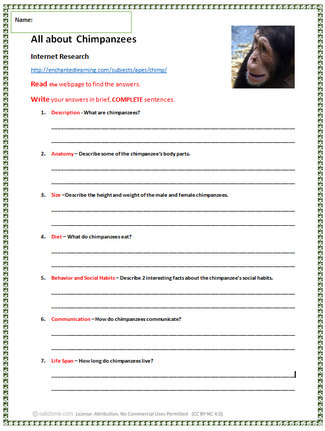 Research Chimpanzees