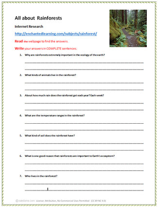 Download: Rainforest Research - 2nd Grade