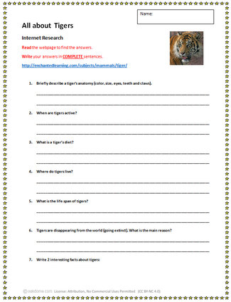 Tiger Research Activity