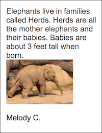 Elephant Families