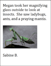 Megan saw a praying mantis