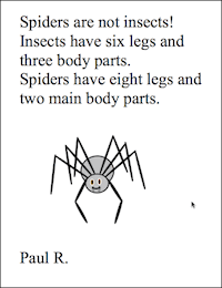 Spiders are not insects
