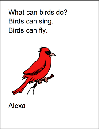 What can birds do?