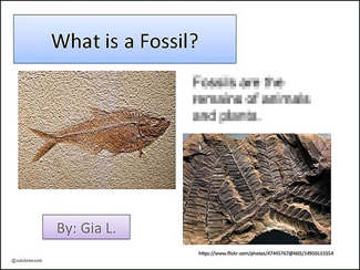 What are Fossils? Finished Example
