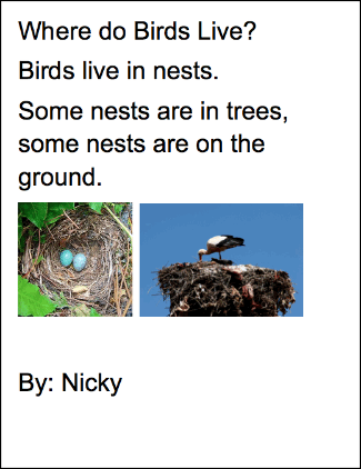 Where do Birds Live?