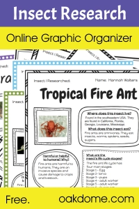 Insect Research | Online Graphic Organizer