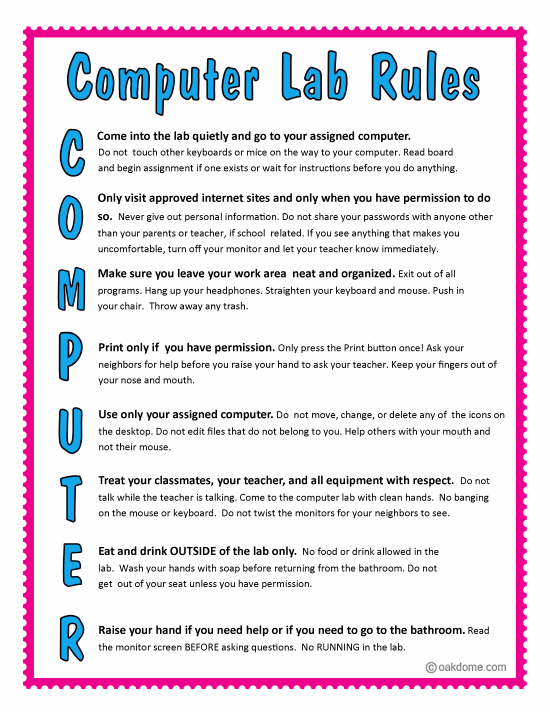 computer lab rules pink blue