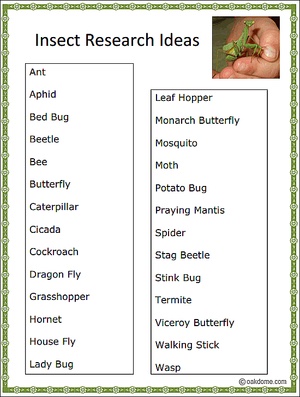 Insect Research Ideas