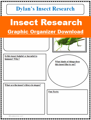 Insect Research Graphic Organizer