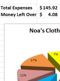 Excel Lesson Plan - Clothes Shopping Budget with Chart