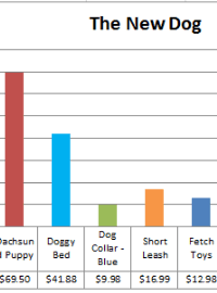 Excel Lesson Plan- Make Your First Chart | K-5 Technology Lab