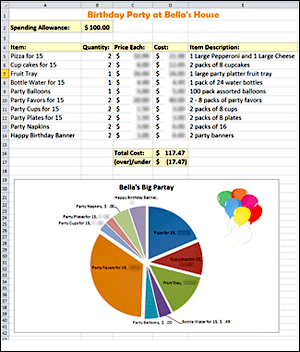 Birthday Party Budget