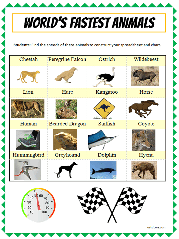 Animal Speed Chart