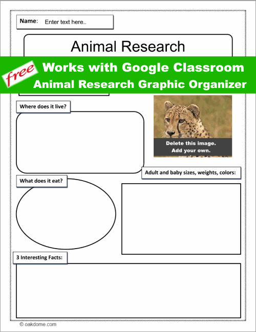 All About Any Animal Graphic Organizer  Graphic organizers, Animal  graphic, Science lessons