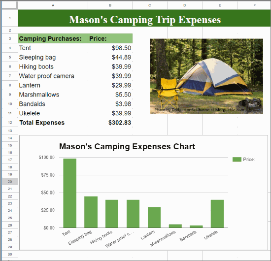 Camping Trip Expense Spreadsheet and Chart - Finished Example