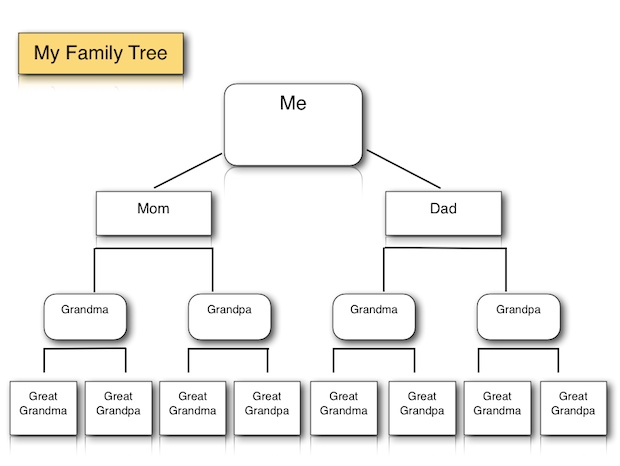 Tree Chart Graphic Organizer