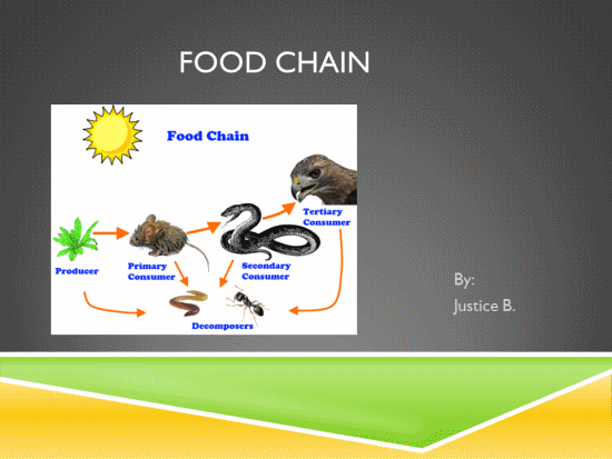 Food Chain PowerPoint Lesson Plan | K-5 Technology Lab