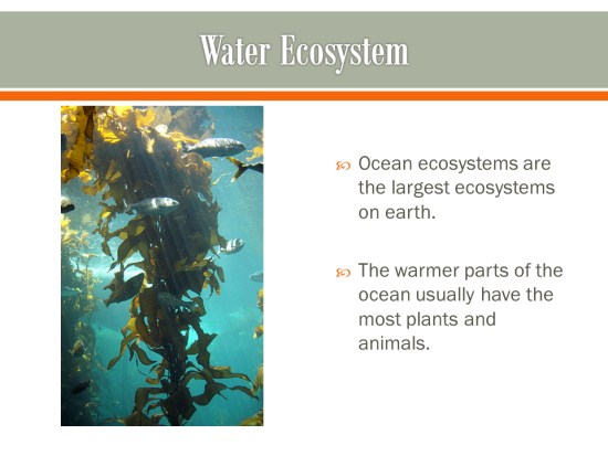 Aquatic Ecosystems: Aquatic Ecosystems Facts