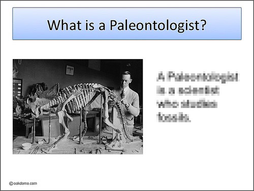 about paleontology