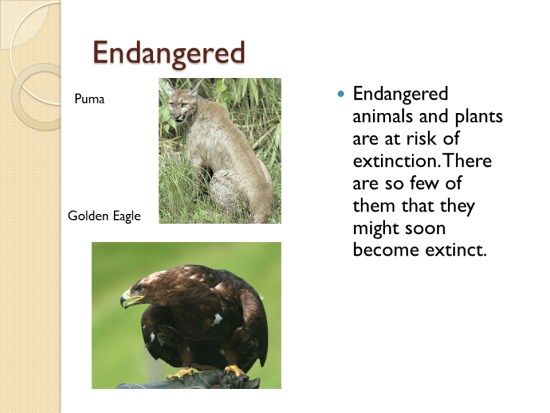 Endangered