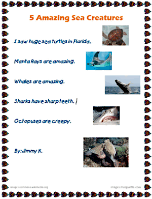 5 Amazing Sea Creatures