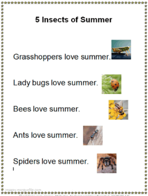5 Insects of Summer