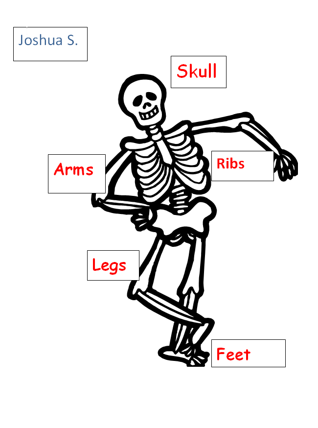 well label of human skeleton