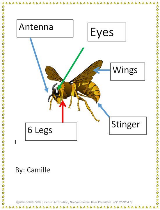 Wasp Body Parts Diagram Activity | K-5 Technology Lab