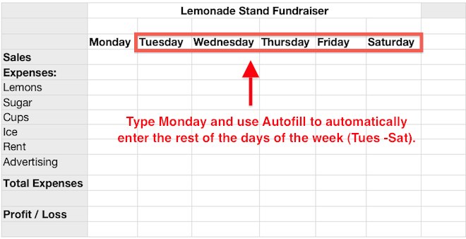 Spreadsheet Setup