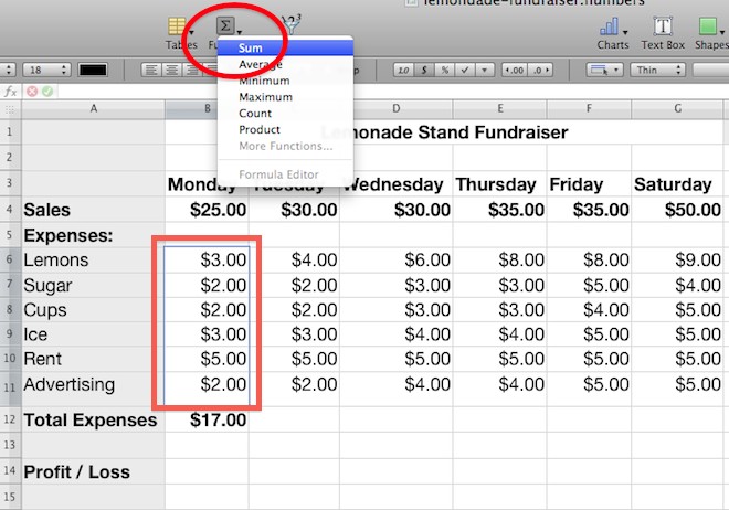 how to instert mac excel equation for column