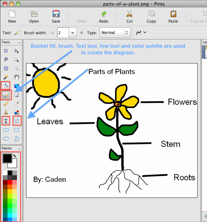 Parts of plant drawing easy | How to draw different parts of plant | Plant  parts drawing easy ideas - YouTube