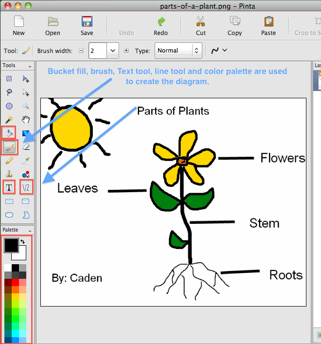 label parts of plants