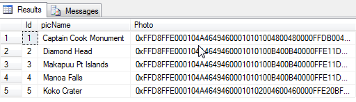 SQL Table with Photo data