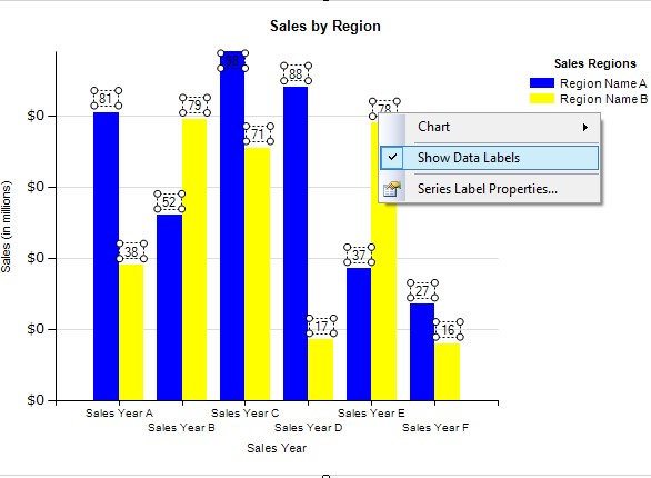 Data Labels SSRS