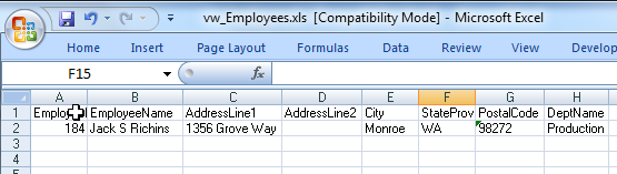 Excel View