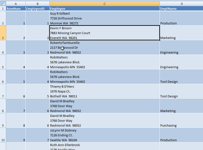 Excel Version of View