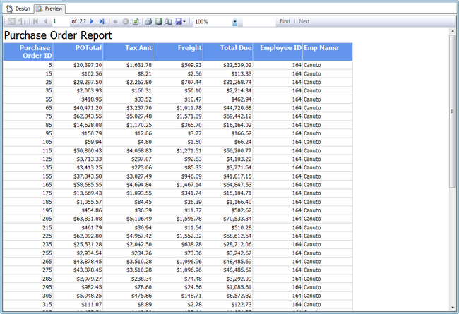 SSRS Report Preview