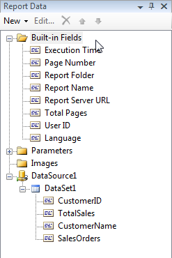 SSRS Report Data Tab