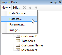 SSRS DataSet